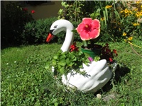 f7ebb25a-Picture 721.jpg